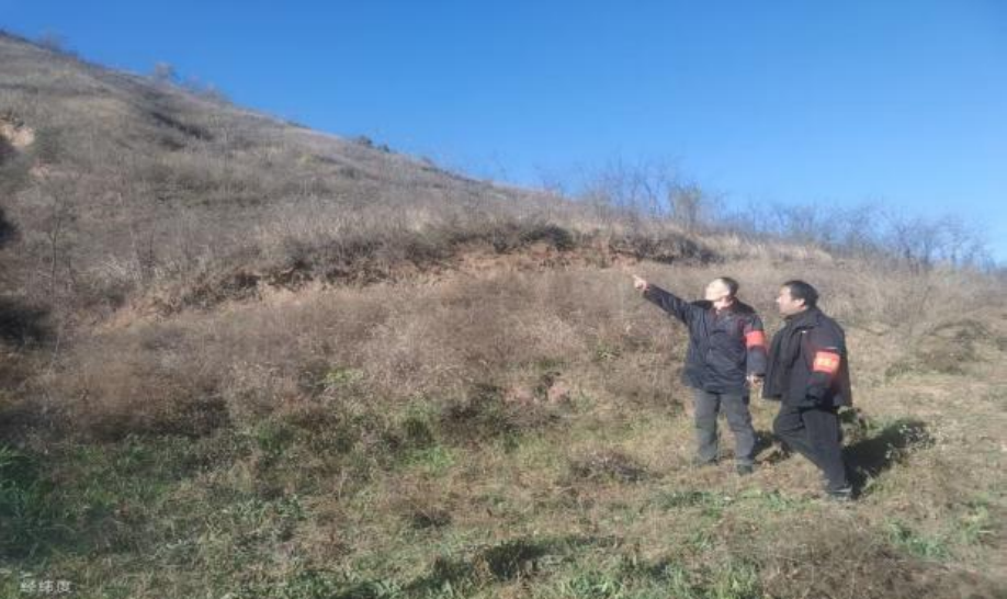 乡村振兴工作动态 （第175期）